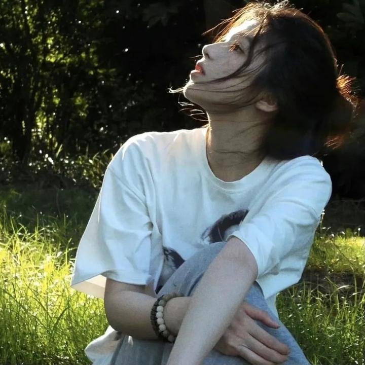 罗宾七侠